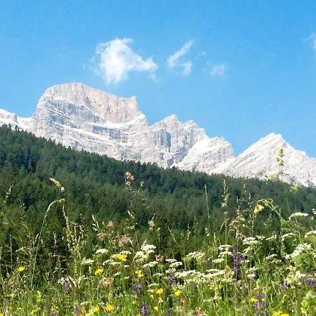 Locazione Turistica Hermine I Apartment Borca di Cadore
